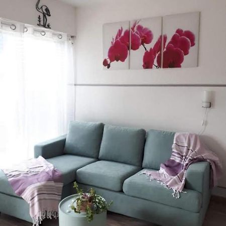Studio Double Cabine Vu Mer เลอ โกร-ดู-รัว ภายนอก รูปภาพ